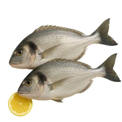 Dennis Whole Fish 300 - 600 Chilled - 1 kg