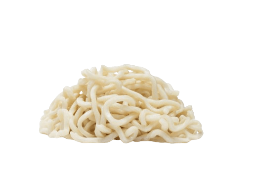 Udon Noodles 300 gm × 40 - Carton