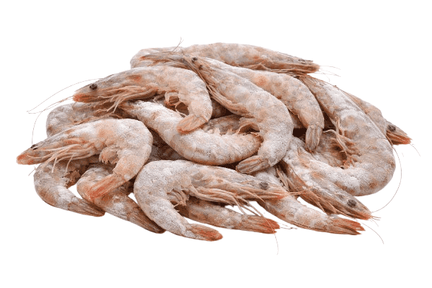 Whole Frozen Shrimp Size 20\30 - 1 kg - Wholesale Product | Platraw