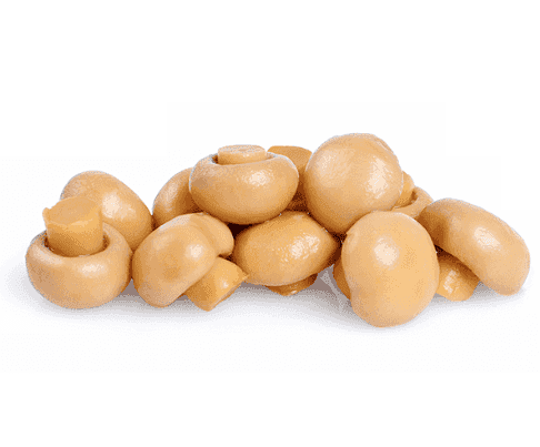 مورو فطر كامل 2.50 كغ × 6 - كرتون - منتج بالجملة | Platraw