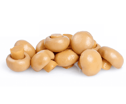 مورو فطر كامل 2.50 كغ × 6 - كرتون - منتج بالجملة | Platraw