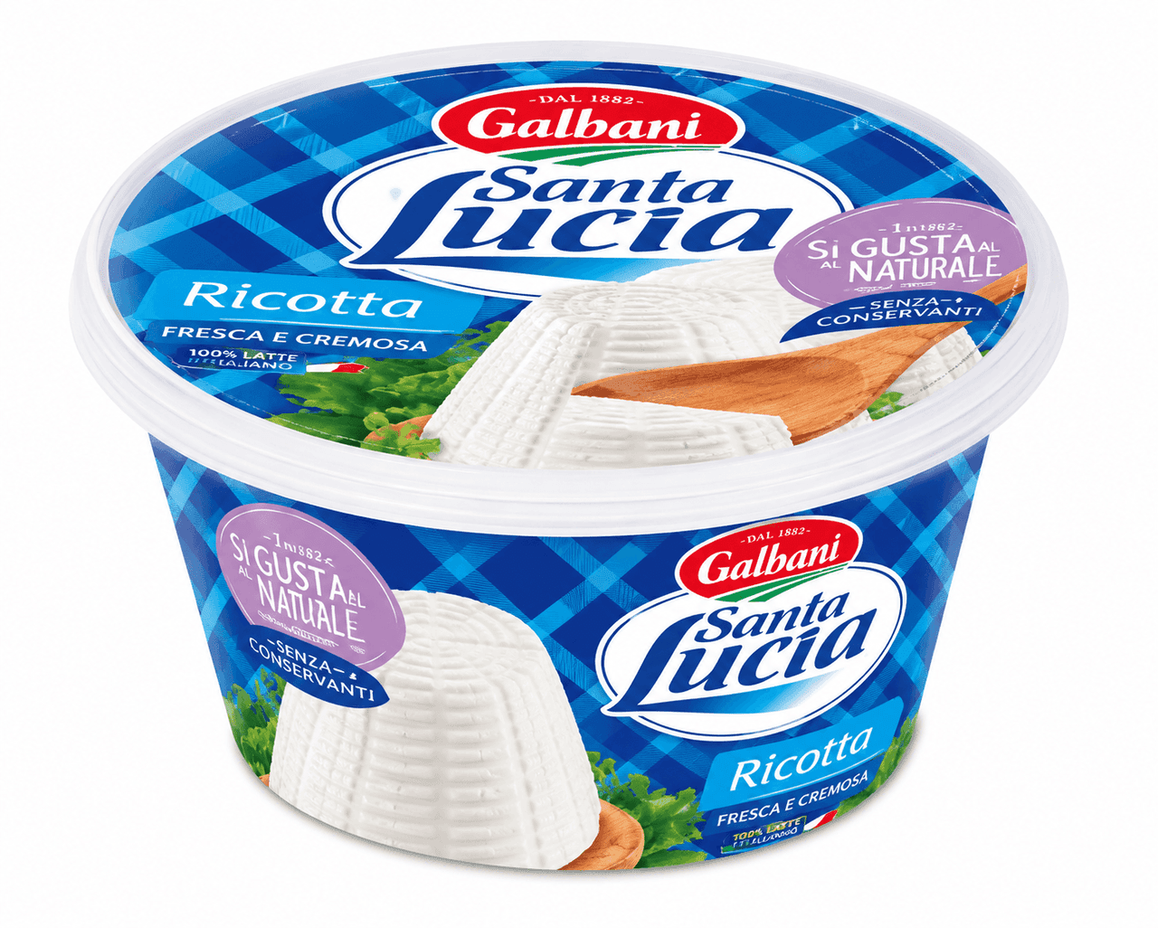 Galbani Ricotta Cheese 250 gm - Wholesale Product | Platraw