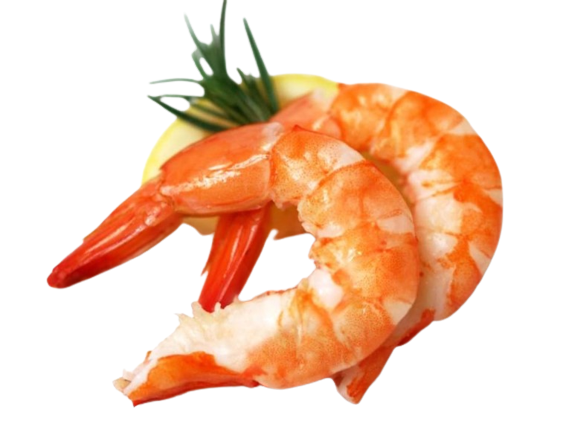 Frozen Shrimp Tail On size 3040 - 12 kg